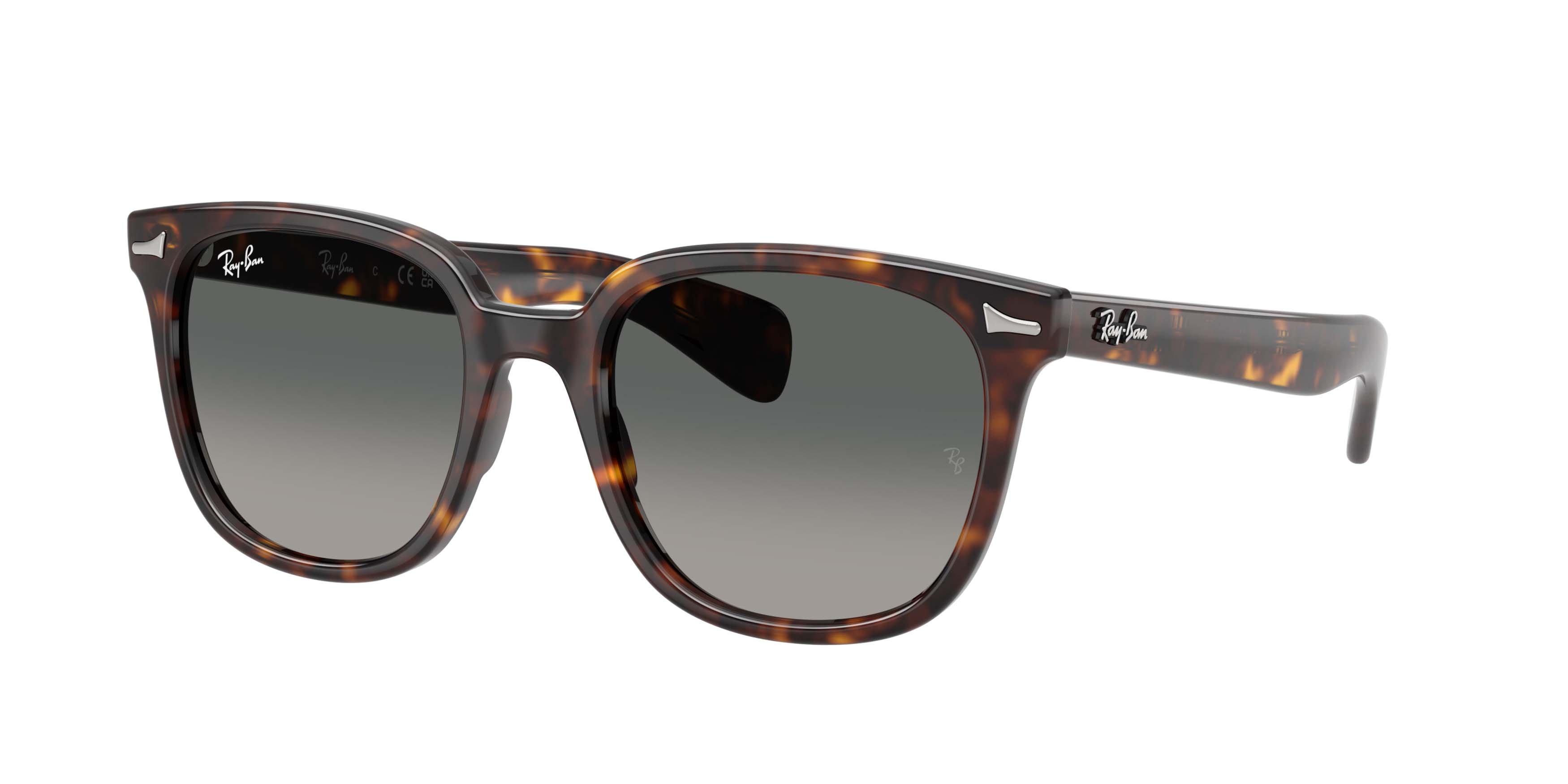 Ray-Ban Brunel II Light Grey Gradient Dark Grey Sunglasses - Havana - BROWN/GREY
